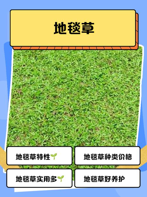 总结