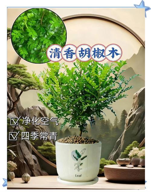 四、南北种植差异化建议