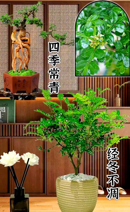 五、常见引种失败原因分析