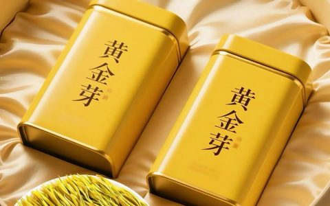 黄茶苗多少钱一株？2025年最新价格参考与分析
