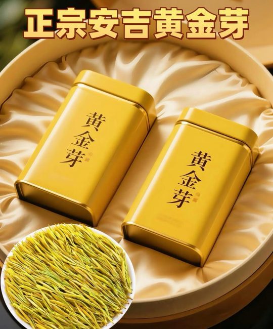 黄茶苗多少钱一株？2025年最新价格参考与分析