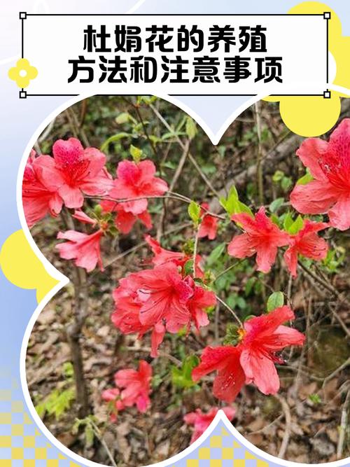 常见误区