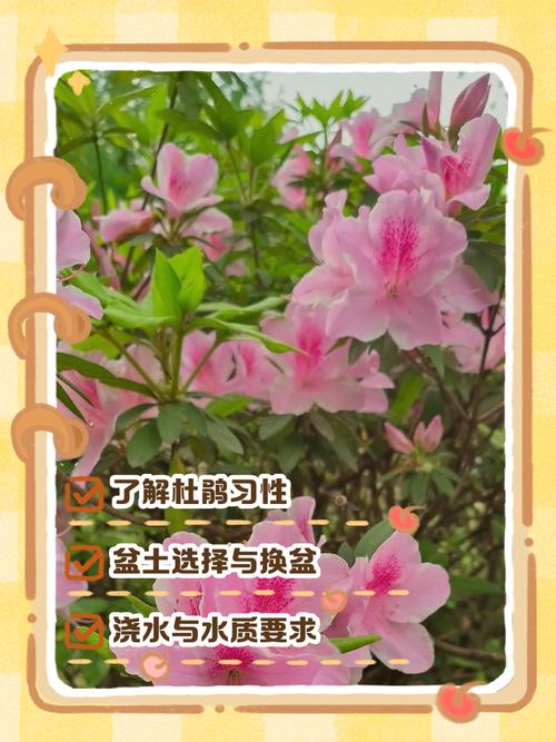 总结