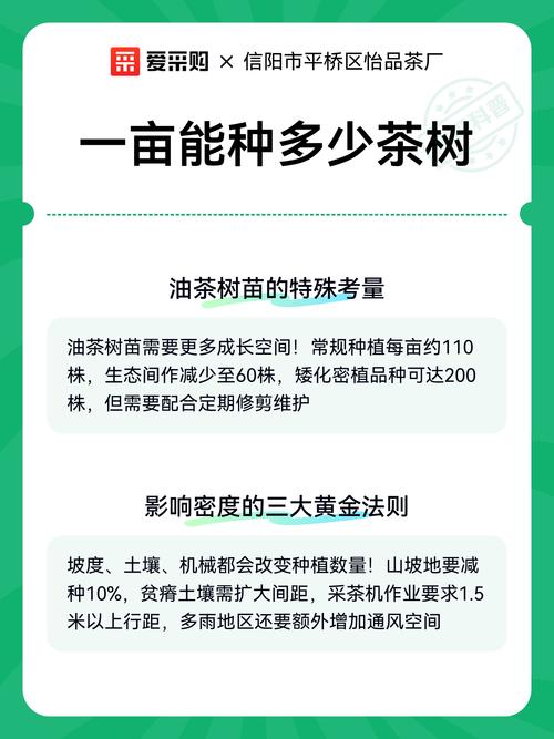 不同茶园的栽植密度推荐
