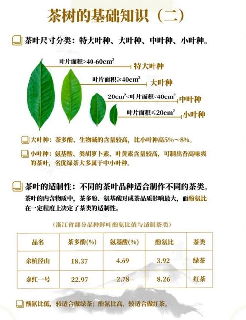 常见栽植密度错误及纠正