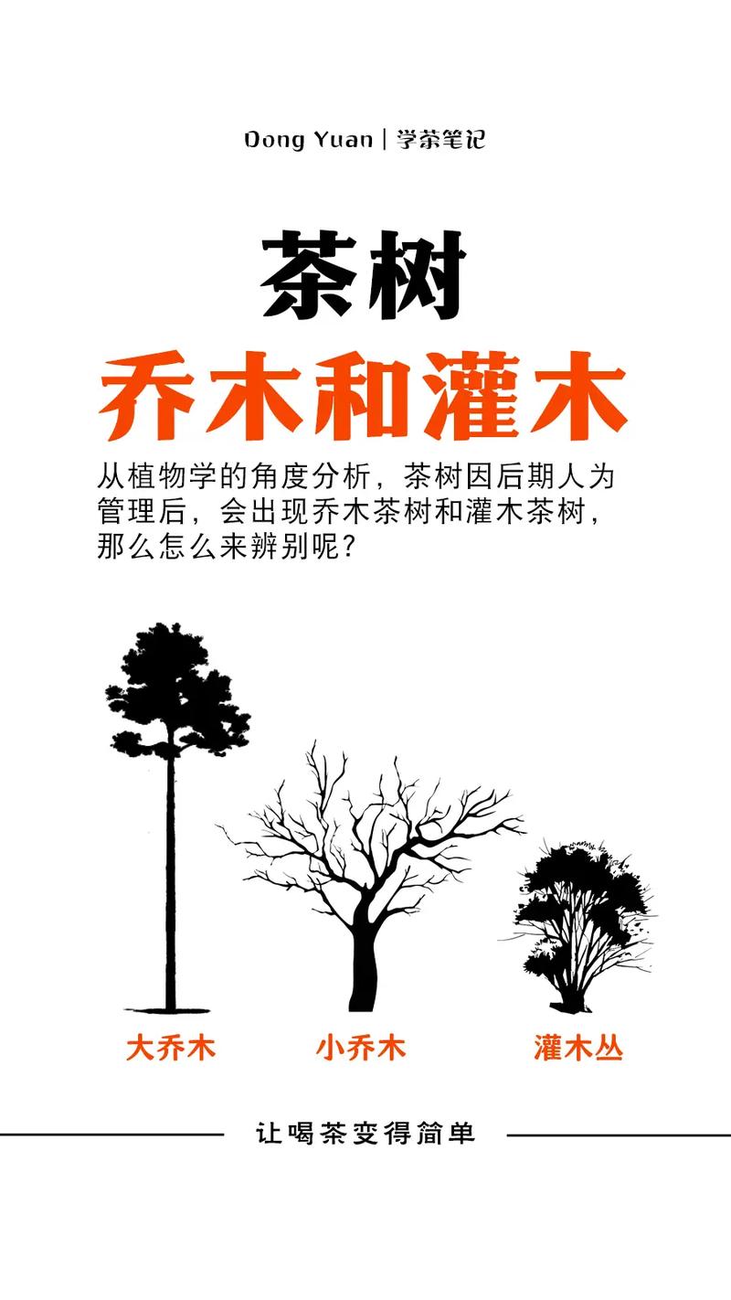 总结