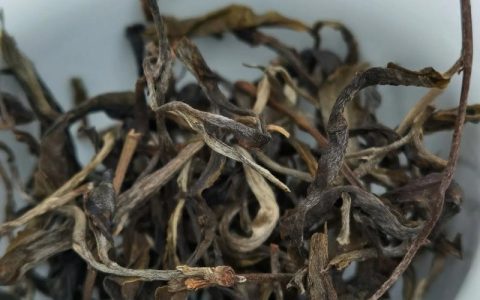 弯弓古树茶价格多少钱一斤？产地、年份与规格如何影响报价