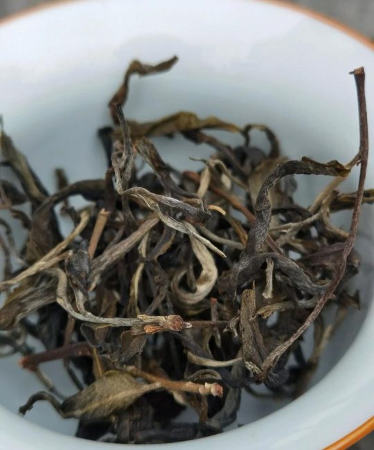 弯弓古树茶价格多少钱一斤？产地、年份与规格如何影响报价