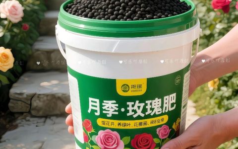 月季花开花时施什么肥好？花期施肥浓度与频率全指南