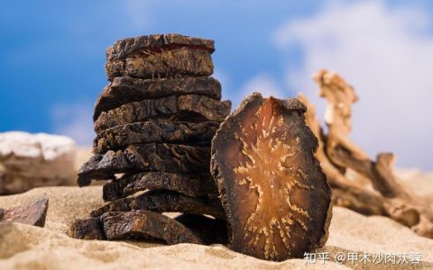 为什么叫管花肉苁蓉？——从名字看植物特征与文化渊源