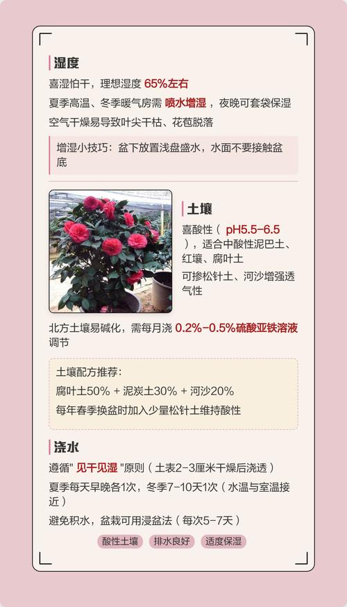 常见误区与纠正