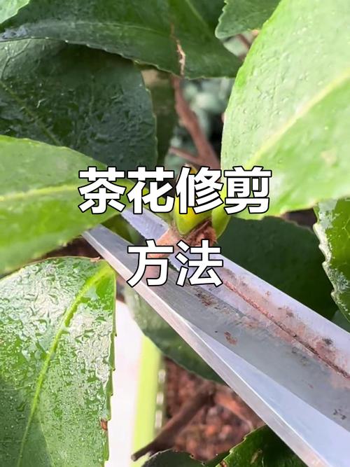 总结