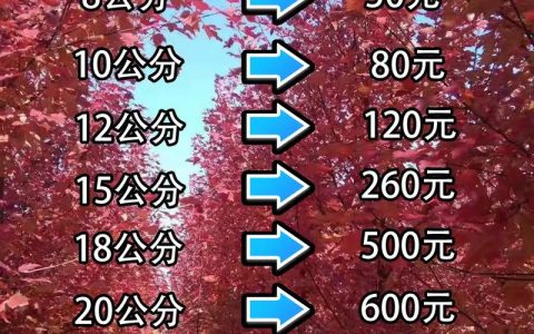 枫树种子哪里卖？采购渠道评估与供应商筛选实操指南