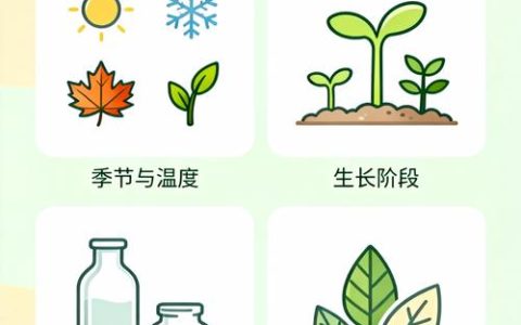 水培植物要经常换水吗？换水频率、判断标准与正确操作