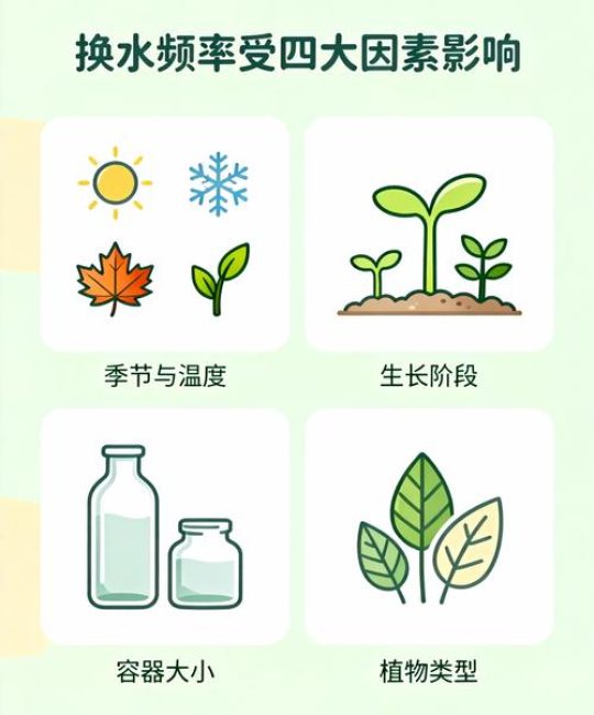水培植物要经常换水吗？换水频率、判断标准与正确操作
