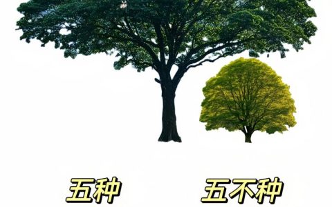 家庭庭院种树指南：选对树种，遮阴纳凉又旺家