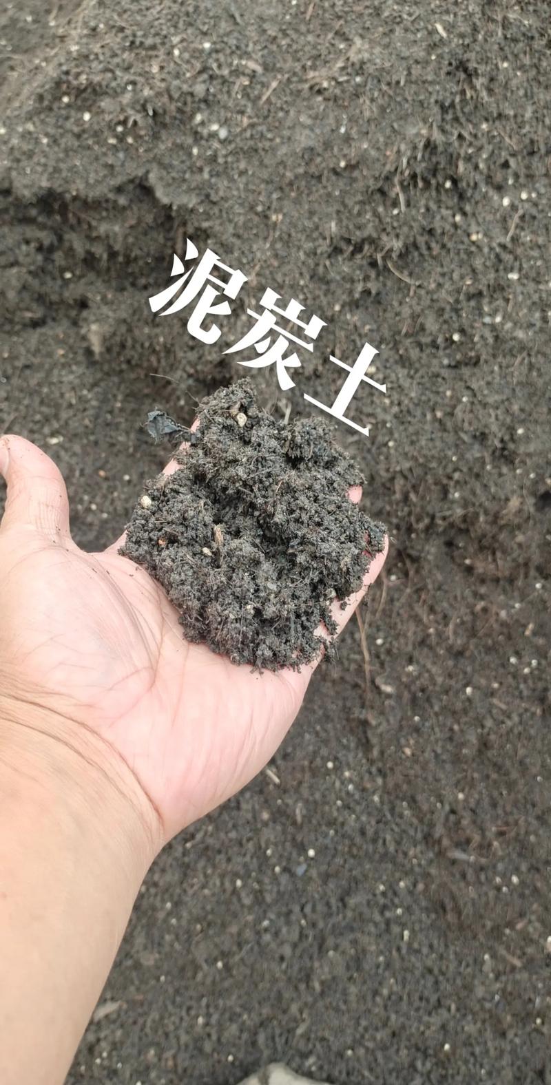 养花用的泥炭土是什么土?一文读懂泥炭土的来源、特性与使用要点 养花用的泥炭土是什么土?一文读懂泥炭土的来源、特性与使用要点