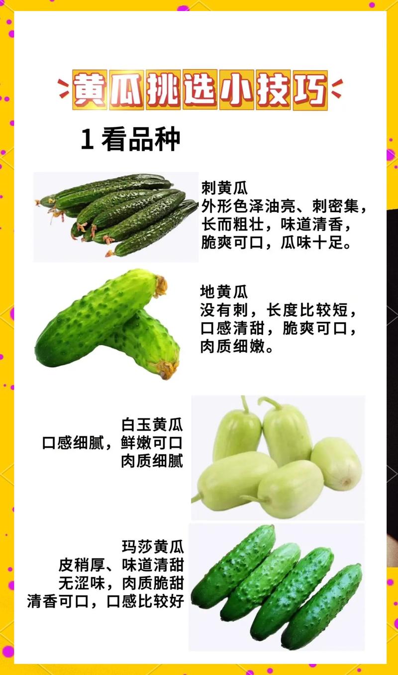水果黄瓜种子哪里买?一份科学严谨的采购渠道核查指南 第四步:物流与检疫——确保种子安全到达