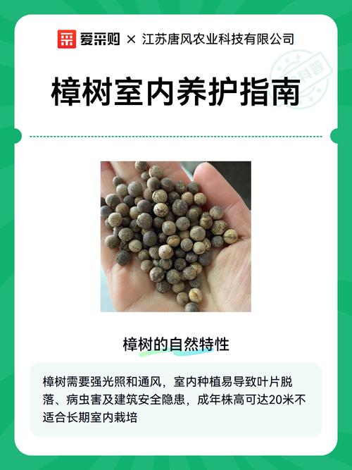 南北种植差异化建议