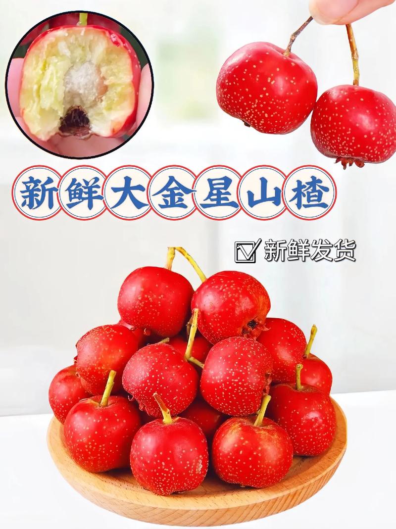 山楂品种哪个好?大金星与大绵球6维度对比,帮你选对品种 大金星 vs 大绵球:6维度核心对比