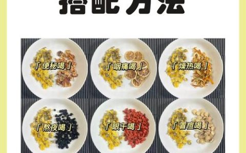 菊花种植指南：从盆栽到冲泡菊花枸杞茶的全流程
