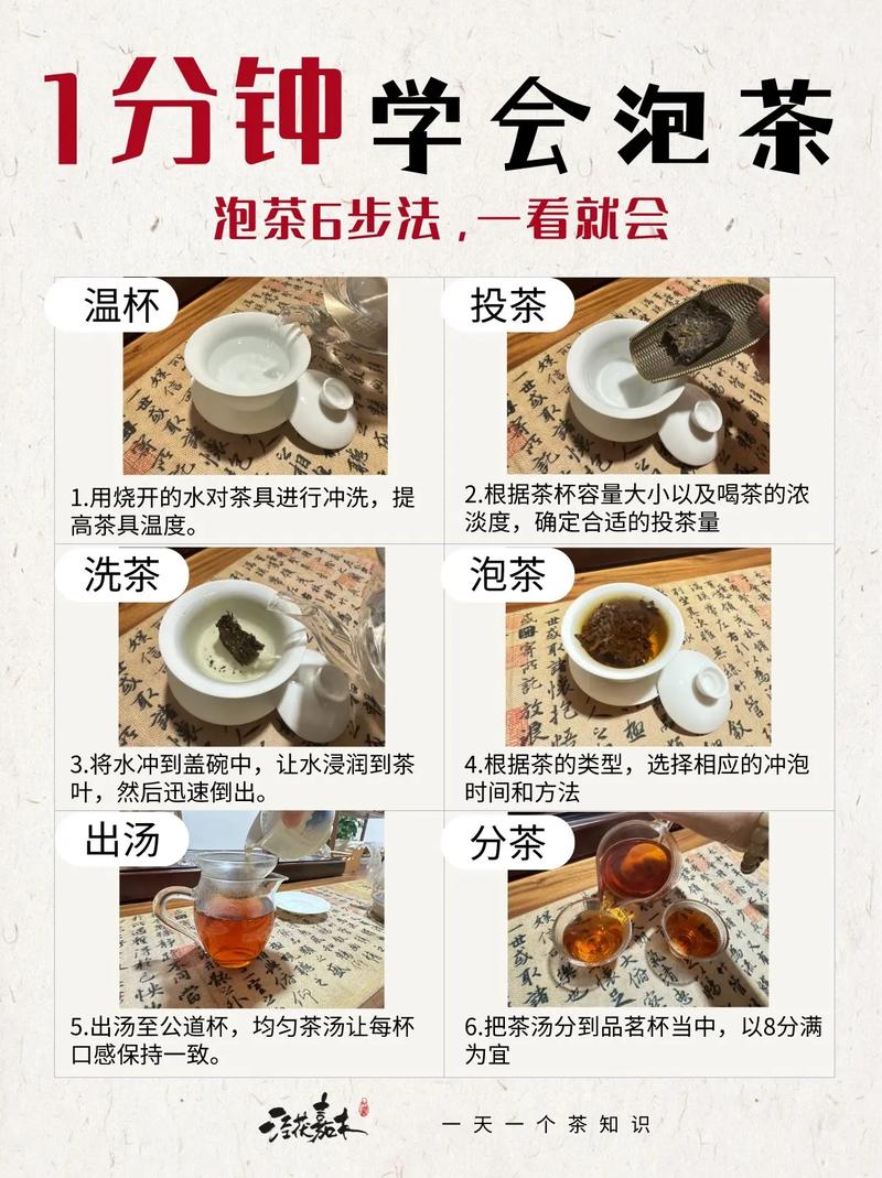 菊花种植指南:从盆栽到冲泡菊花枸杞茶的全流程 总结