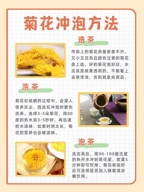 菊花种植指南:从盆栽到冲泡菊花枸杞茶的全流程 常见误区与纠正