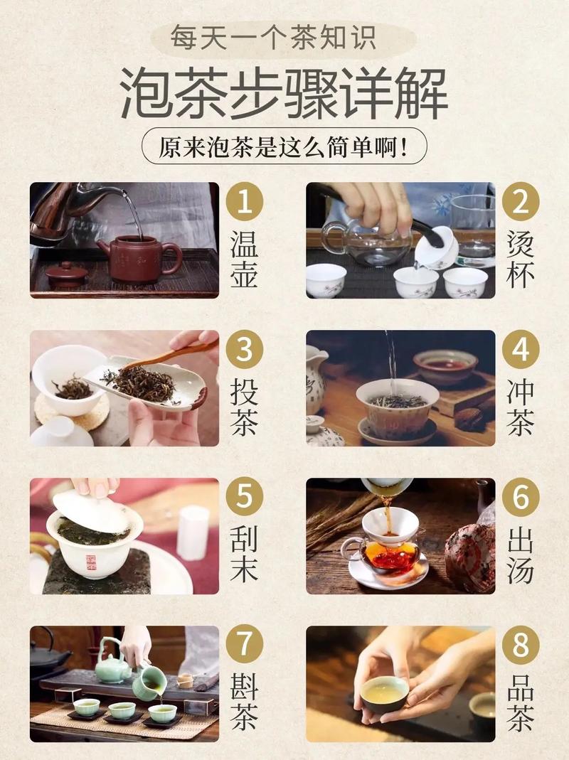 菊花种植指南:从盆栽到冲泡菊花枸杞茶的全流程 FAQ