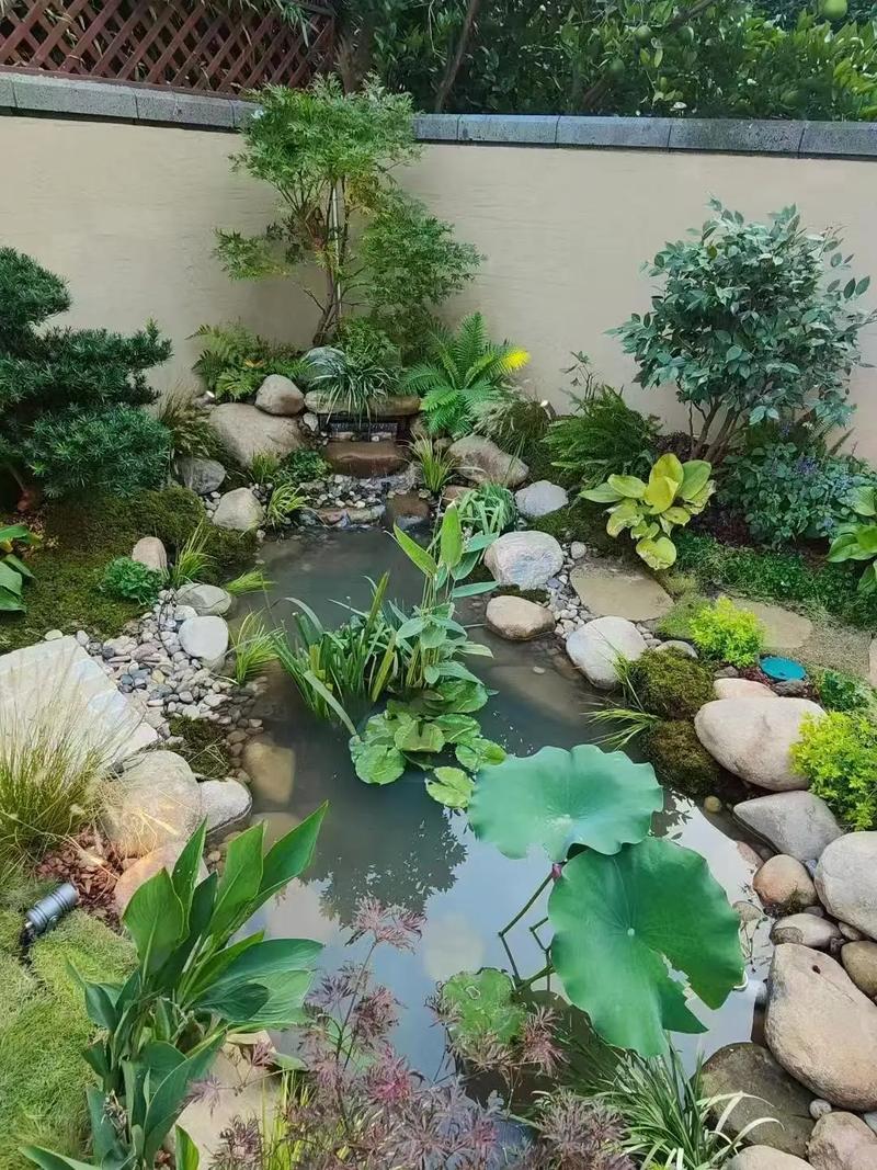 鱼池边适合栽什么植物?打造生态与美观兼具的庭院水景 二、浮水植物:点缀水面,遮阴避暑