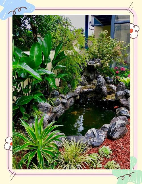鱼池边适合栽什么植物?打造生态与美观兼具的庭院水景 六、总结