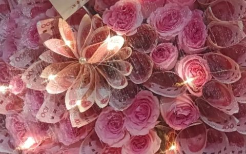揭秘百元纸币上的花：梅花，中国的国魂与报春使者