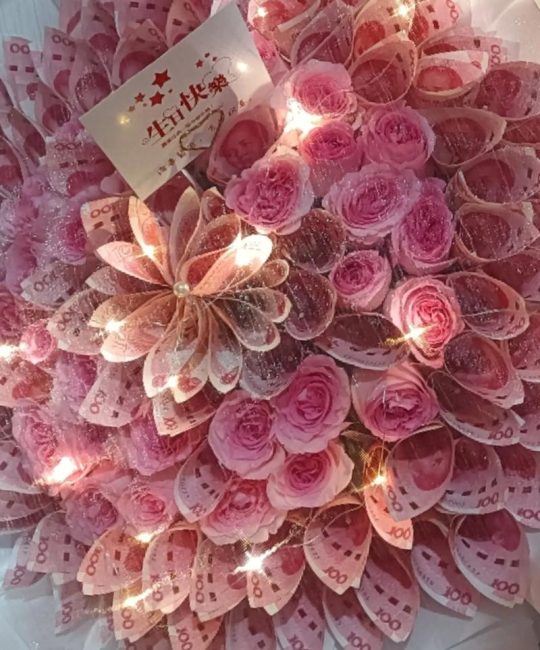 揭秘百元纸币上的花：梅花，中国的国魂与报春使者