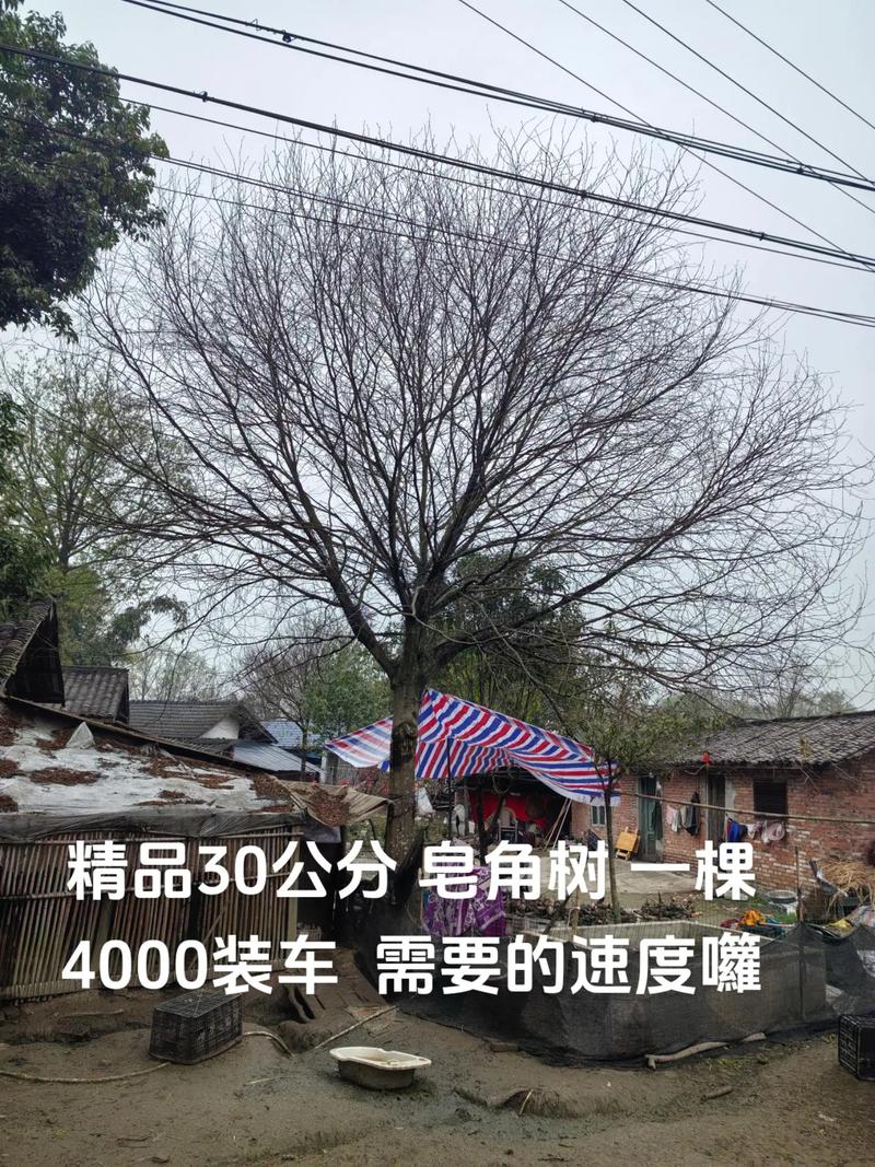 常见问题FAQ