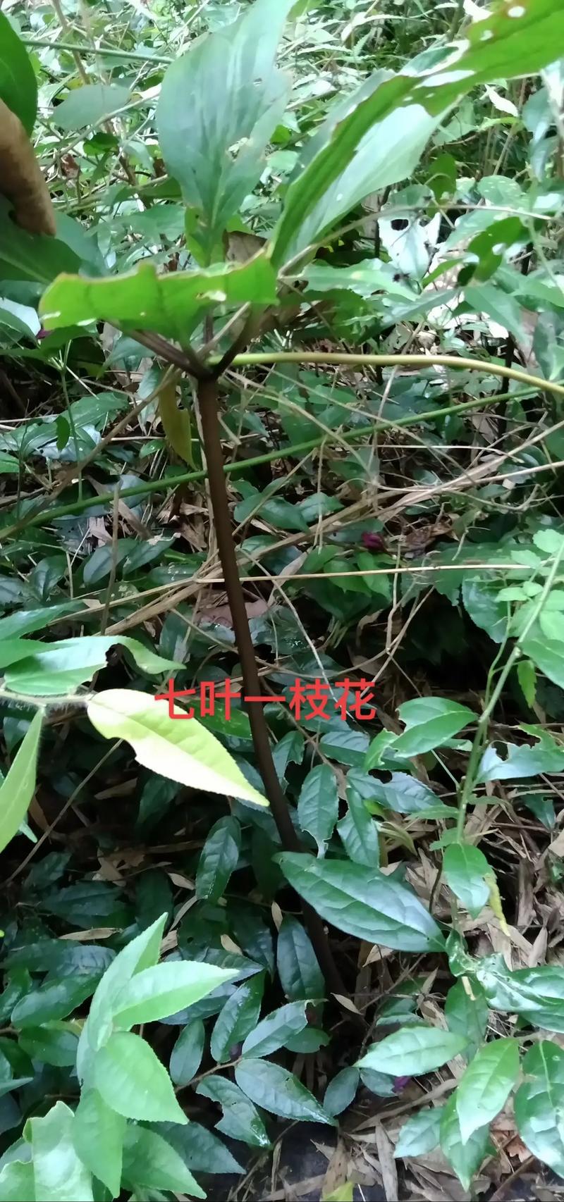 五、运输：物流成本占10%-30%