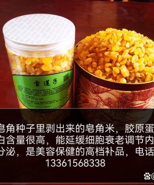 皂角米的功效与作用及食用方法：润肠通便的“雪莲子”