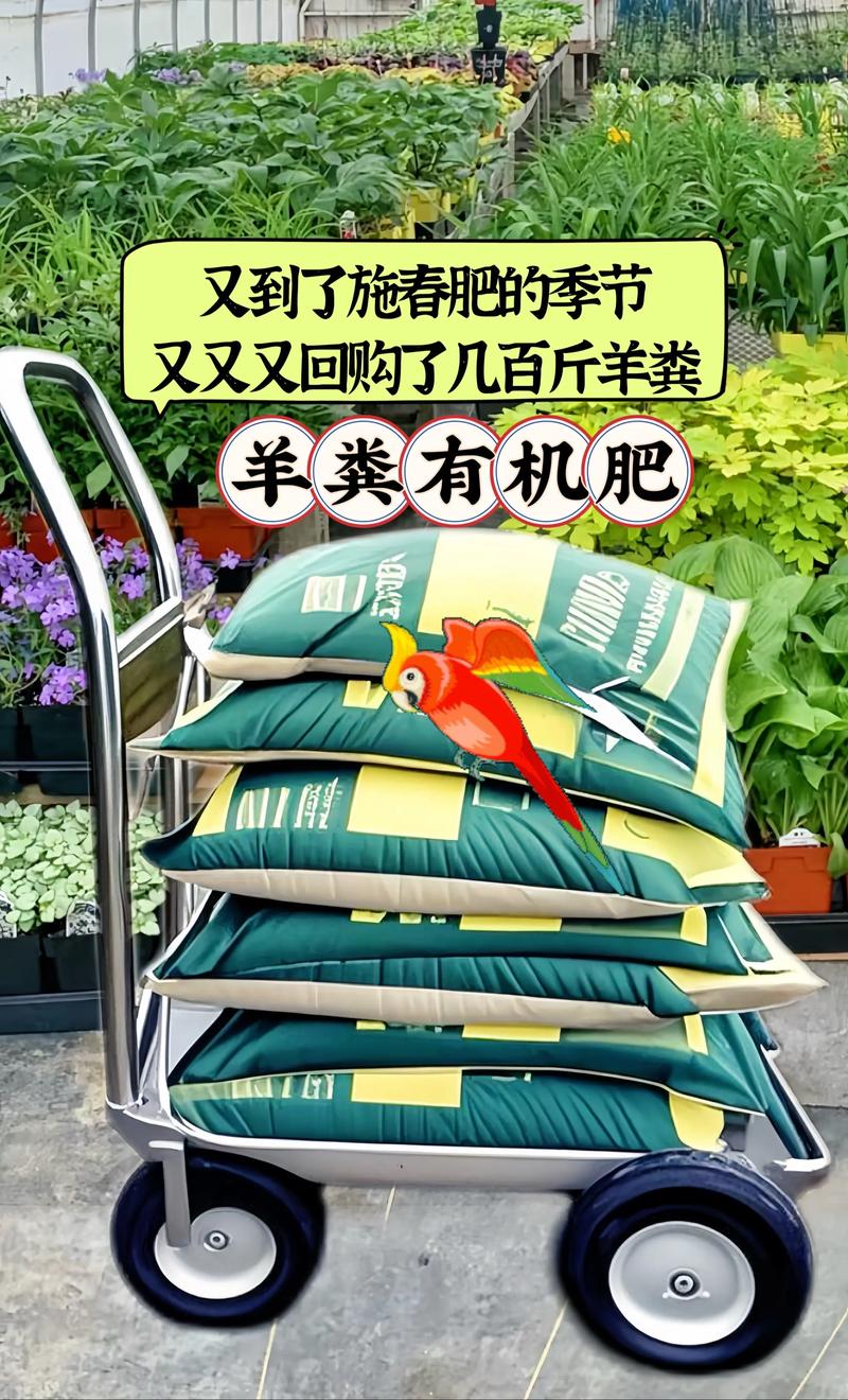 农家肥羊粪怎么发酵?掌握这5个关键步骤,让肥效翻倍还不烧根 四、发酵周期与腐熟判断