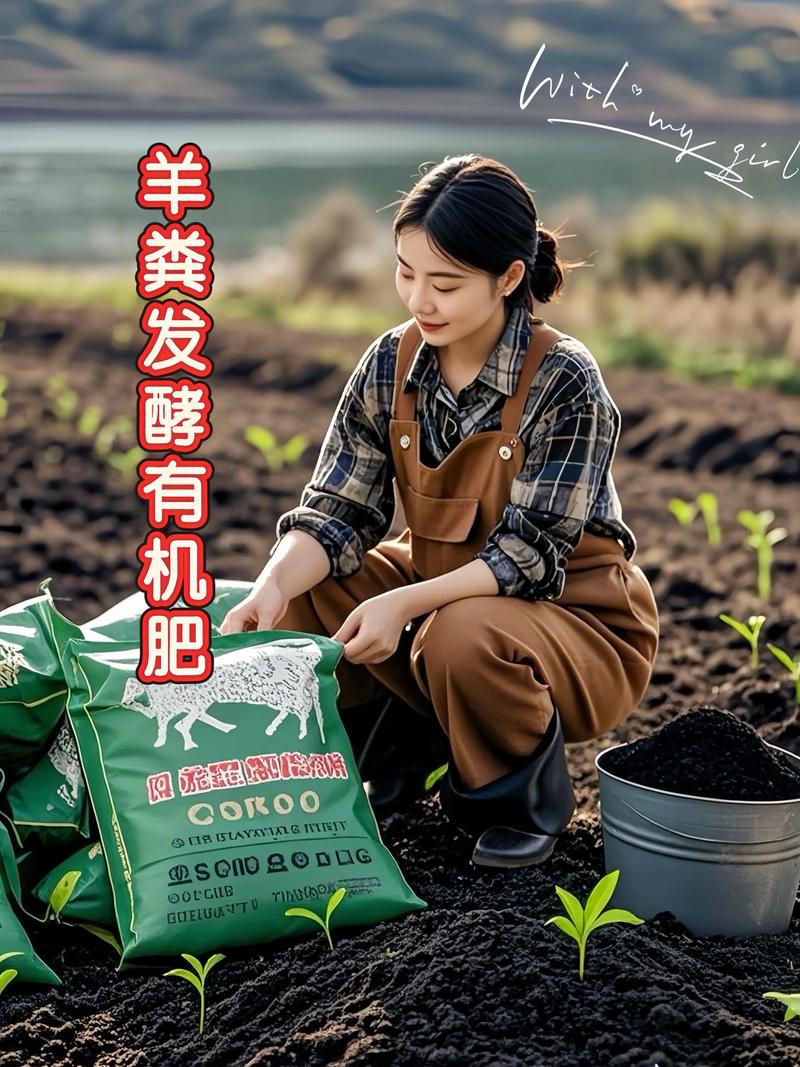 农家肥羊粪怎么发酵?掌握这5个关键步骤,让肥效翻倍还不烧根 发酵后的羊粪如何使用?