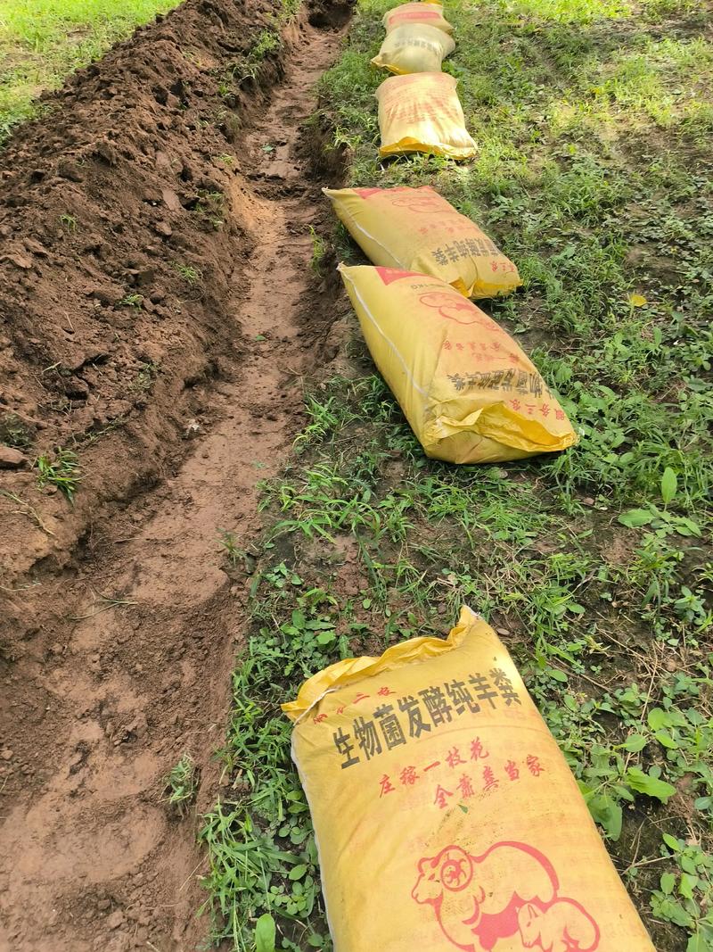 农家肥羊粪怎么发酵?掌握这5个关键步骤,让肥效翻倍还不烧根 小结