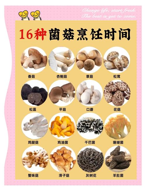 三、菌种处理