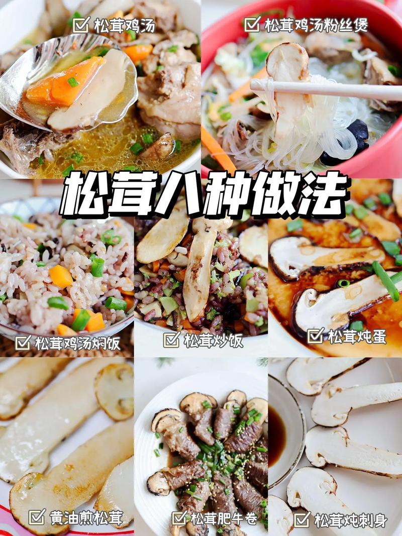 四、铺料与覆土深度