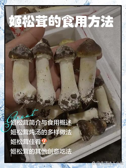 七、成活与出菇后注意事项
