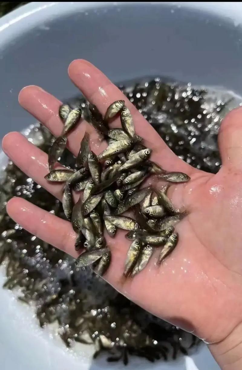 价格影响因素总结表
