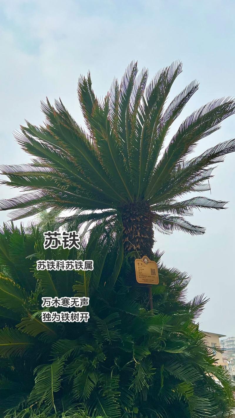 三、操作流程与关键节点控制