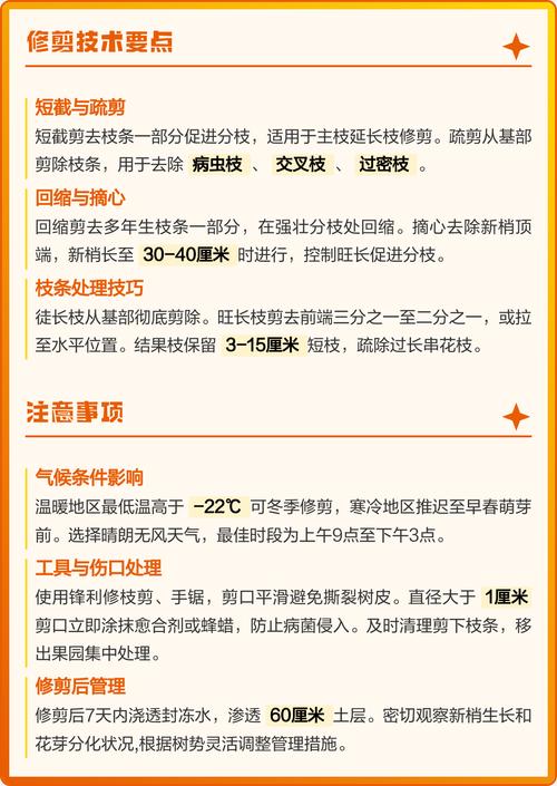 杏树夏季修剪完全指南:最佳时间与操作步骤 夏季修剪后必须立即完成的养护