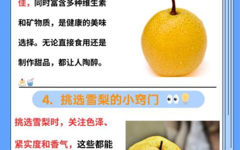 雪花梨与雪梨终极对比：哪个更适合你的家庭果园？