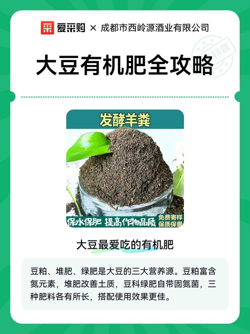 识别要点（品质鉴别与使用注意事项）
