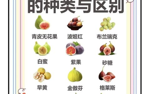 山楂与无花果同食安全，但庭院种植二者需区分管理策略