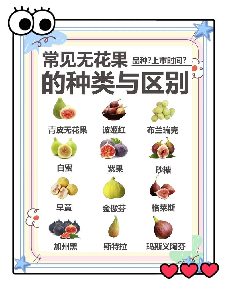山楂与无花果同食安全,但庭院种植二者需区分管理策略 山楂与无花果同食安全,但庭院种植二者需区分管理策略