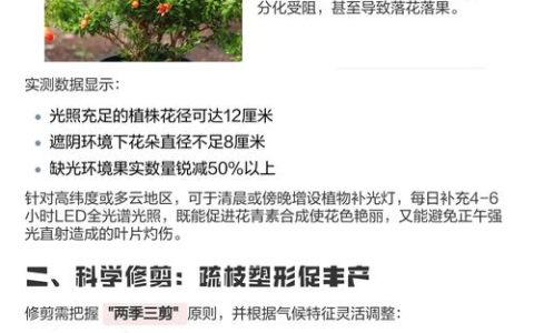 石榴花怎么养殖方法：从浇水到越冬的家庭养护全攻略