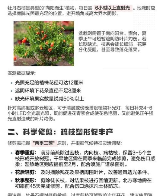 石榴花怎么养殖方法：从浇水到越冬的家庭养护全攻略